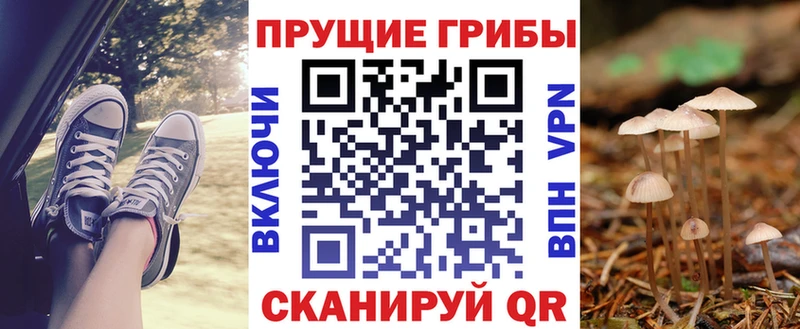 Галлюциногенные грибы ЛСД  kraken ТОР  Лосино-Петровский  где купить наркоту 